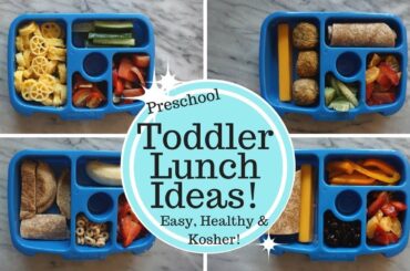 Toddler Lunch Ideas! Bento Box - Healthy, Easy & Kosher!