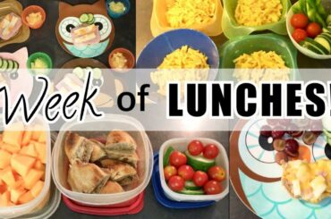 EASY, HEALTHY LUNCH IDEAS! | WEEK OF HOMESCHOOL LUNCHES