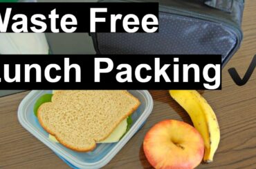 Healthy Lunch Ideas -  How to Pack a Waste Free Lunch