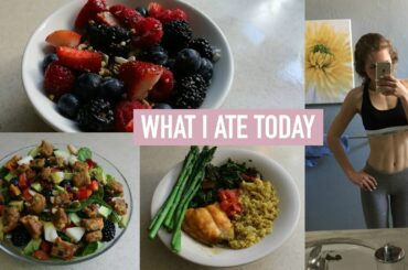 WHAT I EAT IN A DAY 2016! (Easy & Healthy Recipes) | Mel Joy