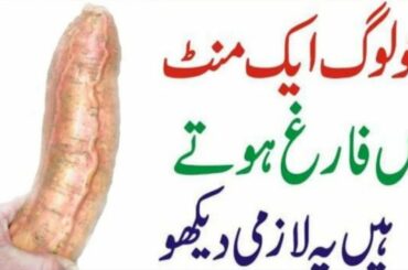 Healthy Food for Breakfast | Best Weight Loss Diet Plan | Health Tips