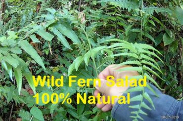 How to make Fern Salad/ pako-pako/ fresh and healthy/ Best of Nature