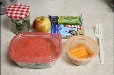 Healthy Lunch and Dinner Ideas for Work and School