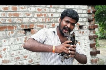 Goat Leg Suop Village Healthy Recipes By My Brother Cooking