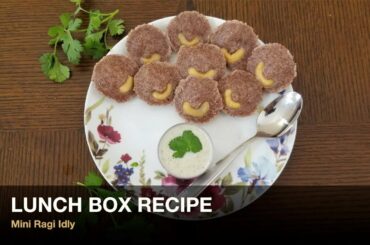 Indian lunch box recipes | kids lunch box ideas | healthy and easy lunch ideas