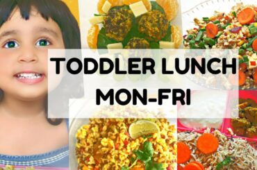 5 LUNCH IDEAS FOR INDIAN KIDS | TODDLER LUNCH RECIPES | INDIAN LUNCH RECIPES