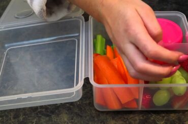 Back To School - DIY Easy Healthy Vegan School Lunch Ideas