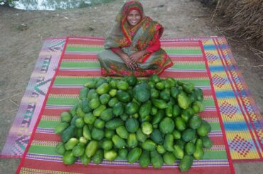 90 KG Farm Fresh Green Papaya Recipe Healthy Raw Papaya With Pangasius Fish Cooking For Orphan Kids