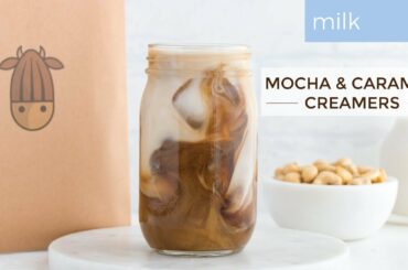 Healthy Cashew Creamer 2 Ways: Caramel & Mocha Creamer Recipes I Almond Cow