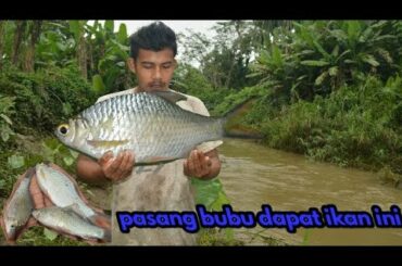 cooking traditional foods - pasang bubu ikan || lihat apa yang terjadi