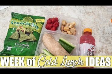7 Days of Cold Lunches | On the Go Lunch Ideas | October 2019