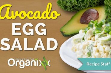 Avocado Egg Salad | Healthy Salad Recipe | Organixx Recipes