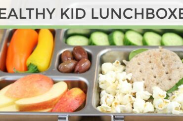 3 Easy Heathy Kid Lunch Ideas | Bento Box Style