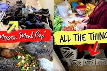 😱SCARED OF MY MESS! Deep CLEAN with Me | Healthy Meal Prep for the WEEK + Large Family ORGANIZATION