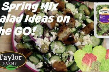 3 Salad Ideas | Healthy Lunches