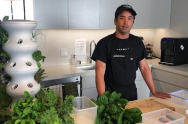 Let's Make a Quick Salad!