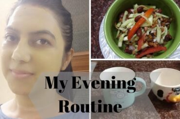 Vlog :: My Daily Evening Routine || Skincare || Salad recipe for Dinner || हिंदी