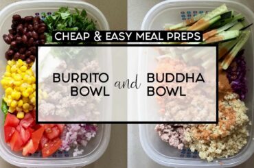 CHEAP & EASY MEAL PREPS