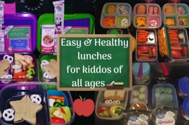 Easy & Healthy lunch ideas!
