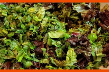 Great Green Salad Recipe