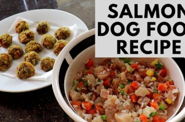 Salmon Dog Food and Treats Recipes - Easy and Healthy