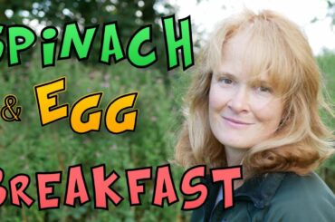 Quick and HEALTHY BREAKFAST for camping or home.