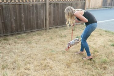Crazy puppy + healthy breakfast ideas