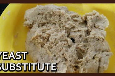 How to make Yeast Substitute at home | Healthy Substitute for Yeast | Kitchen Tips | Healthy Kadai