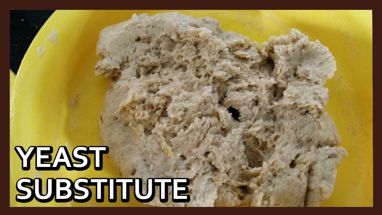 How to make Yeast Substitute at home | Healthy Substitute for Yeast | Kitchen Tips | Healthy Kadai How to make Yeast Substitute at home | Healthy Substitute for Yeast | Kitchen Tips | Healthy Kadai