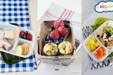 Easy Preschool Lunch Ideas | Lunch Ideas for Picky Eaters