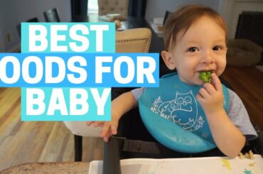 BABY LED WEANING - MEAL IDEAS AND FAVORITE FOODS! Organic, Healthy, Easy!
