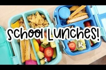 SCHOOL LUNCH IDEAS!  BENTO LUNCHES  PACKING COLD LUNCHES
