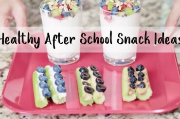 4 Healthy After School Snacks Ideas