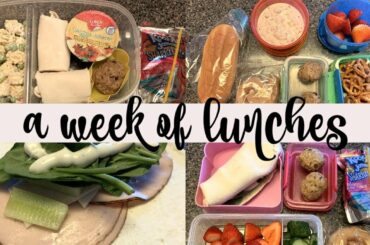 A WEEK OF LUNCHES || BUDGETED HUSBAND & SCHOOL LUNCH IDEAS || 10/21/19-10/25/19