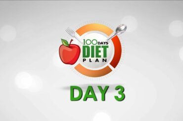 Quick and Healthy Meal Ideas || 100 Days Diet Plan - Day 03 Meal Plan