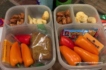 4 Sandwich Free School Lunches!