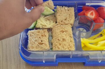 Healthy vegetarian high protein meal ideas - cheese sandwiches