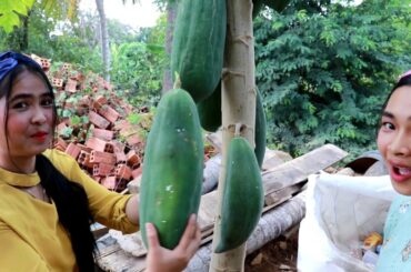 Green Papaya Salad Recipe - Spicy Papaya - My Food My Lifestyle