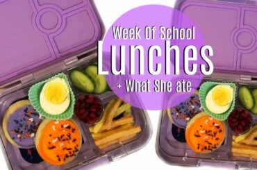 Week Of School Lunch Ideas | Week 7 | Ms. Bonnie Harris