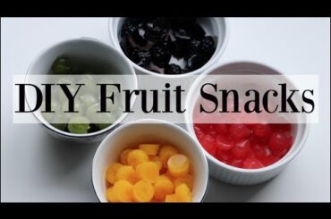 DIY Homemade Natural Fruit Snacks / Gummies - 4 Recipes ♡ NaturallyThriftyMom