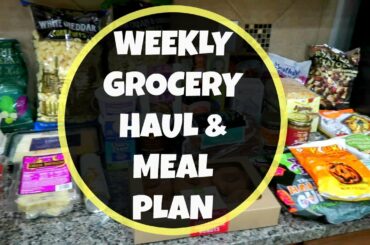TRADER JOE'S GROCERY HAUL & WEEKLY MEAL PLAN
