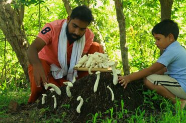Mushroom Vindaloo For Your Health | ഔഷധ ഗുണമുള്ള കൂൺ വിന്താലൂ കറി | Healthy Food Mushroom