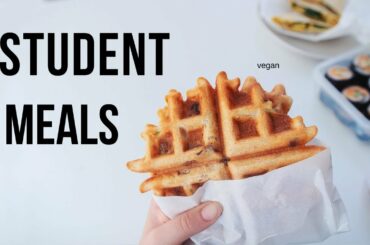 Packed Vegan Lunch Ideas for Students! (easy & cheap)