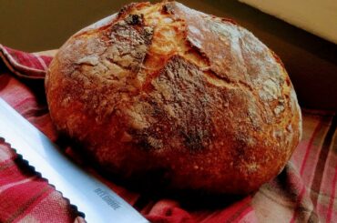 Amazing artisan bread in dutch oven recipe