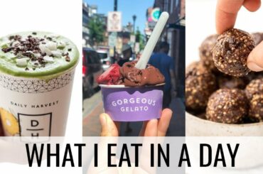 What I Ate on a Long Road Trip | healthy breakfast + snacks ideas