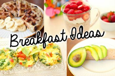 Healthy & Easy Breakfast Ideas for School! | Primrosemakeup