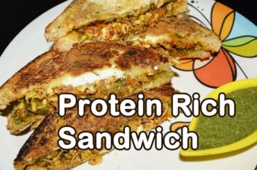 Protein Rich Sandwich - Egg, Cheese & Sprout Sandwich Recipe | प्रोटीन सैंडविच