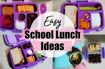 EASY SCHOOL LUNCH IDEAS 2019 | BENTO STYLE LUNCHES FOR KIDS | HEALTHY LUNCHES