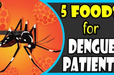 5 Healthy Foods for Dengue Patient