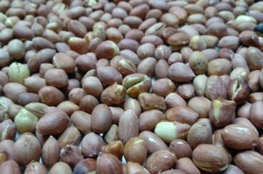 Healthy snacks  recipe/homemade rosted peanuts recipe/ rosted peanuts